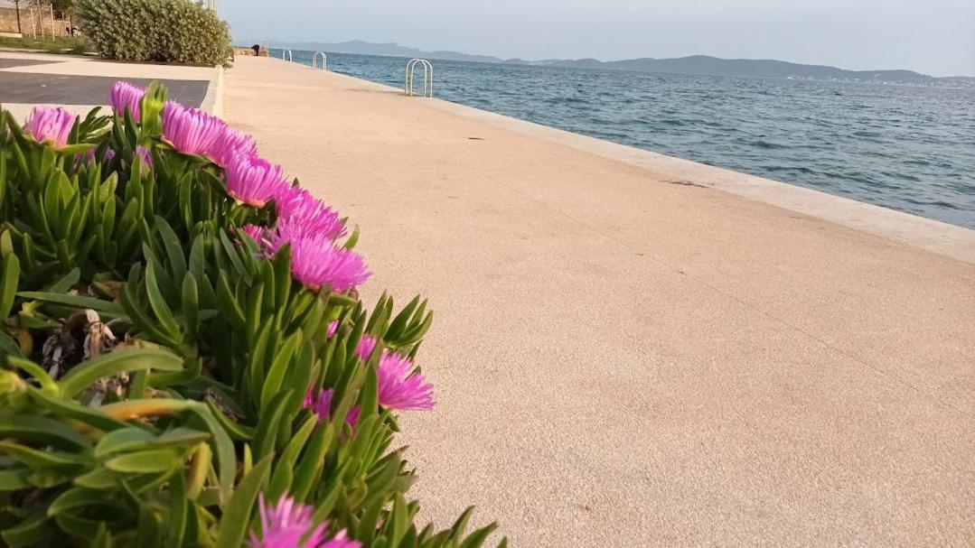 Apartman Sandra -Private Parking And Garden Zadar Exterior photo